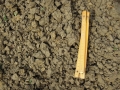 Struktura angularna